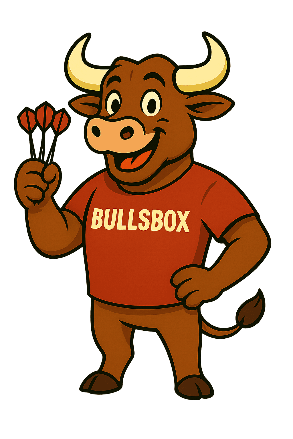 BullsBox Story